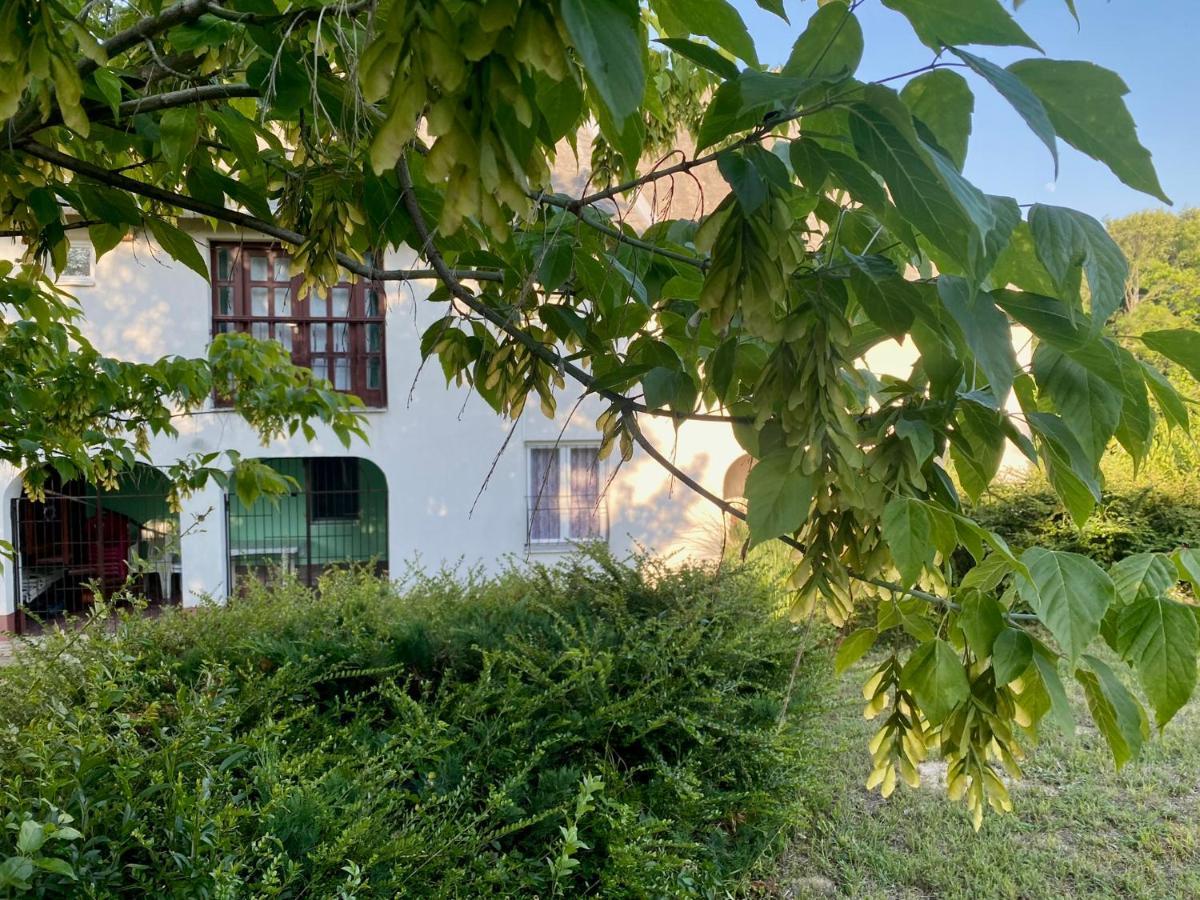 Toereki 34 Vendeghaz Daire Siofok Dış mekan fotoğraf